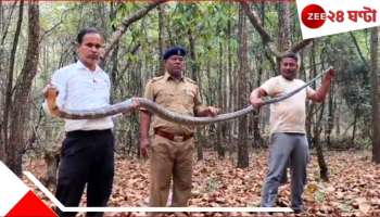 Malbazar: হুলুস্থুল কাণ্ড! জনবহুল এলাকায় উদ্ধার ১১ ফুটের বিষধর, তটস্থ এলাকাবাসী...