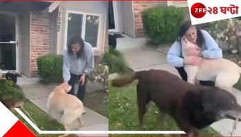 Viral Video | Sunita Williams: ৯ মাস পর সুনীতা পৃথিবীতে, তাঁকে পেয়ে পোষ্যরা আত্মহারা, চোখের জলে ভিজল নেটপাড়া...