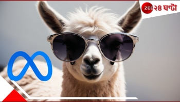 New Meta AI: ChatGPT, Google Gemini-র দিন এবার শেষ? জেনে নিন, বাজার কাঁপাতে চলে এল নতুন কোন AI মডেল...