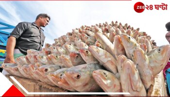 Hilsa: প্রকৃতির প্রতিশোধ? ইলিশ কেন ঢুকতে পারছে না নদীতে? বদলের বাংলাদেশে কমে আসছে ইলিশের উৎপাদন!