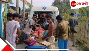 Hen fight | Sandeshkhali: পথ ভুলে ঢুকে পড়েছিল অন্যের বাড়িতে! নিরীহ মুরগিকে নিয়ে লড়াইয়ে আহত ১০...