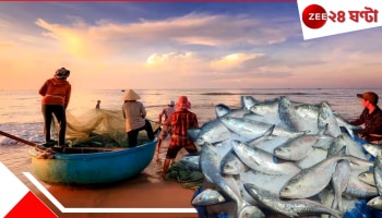 Bay of Bengal| Fish Supply: বর্ষায় বদলের বঙ্গোপসাগরে মাছ নেই! ইলিশ-পমফ্রেট পাতে পড়বে না, বিপন্ন ১৫ কোটি মানুষ...