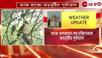 Weather Report Storm and Rain Forecast in the State Norwester Approaching