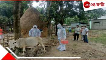 Sitai family mysterious death: করোনা আতঙ্কের মধ্যেই জ্বর-শ্বাসকষ্টে সিতাইয়ে ২২ দিনে একই পরিবারে মৃত ৩! মৃত্যু গবাদি পশুরও, চাঞ্চল্য...