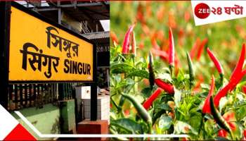 Singur&#039;s Green Chilli in Japan: এগিয়ে বাংলা! সিঁদুরে লাল লঙ্কার জাপান-জয়! সিঙ্গুরের জমিতে ফলছে দেদার বিদেশি মুদ্রা...