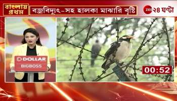  Bengal to Be Drenched with Thunderstorms and Rain When Will the Weather Improve 