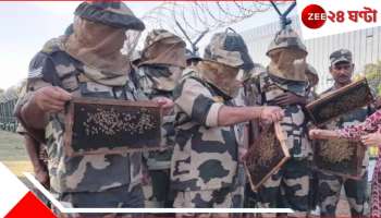 India-Bangladesh Border: অবৈধভাবে সীমান্ত পেরোলেই তেড়ে যাবে মৌমাছি! বিএসএফের অনবদ্য চিন্তা...
