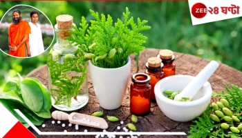 Patanjali’s Natural Therapies: রোগ কমাতে ওষুধ নয়, প্রকৃতি! পতঞ্জলিতে ভরসা রাখছে লাখো লাখো মানুষ...