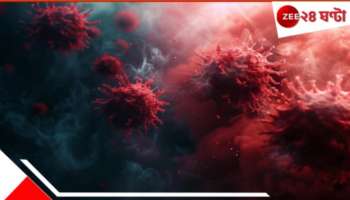 Covid 19: শিশুদের কোভিড নিয়ে ভয়ংকর সমীক্ষা রিপোর্ট! হতে পারে দীর্ঘদিন ধরেই আপনার সন্তান হয়তো... 