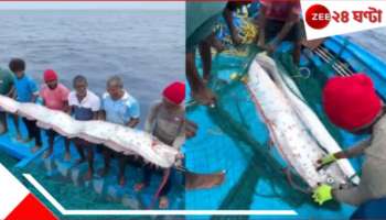 Doomsday Fish: WATCH | তামিলনাড়ুর সৈকতে বিরল 'ডুমসডে ফিশ'! কোভিডের সঙ্গেই আরও কোনও বিপর্যয় আসন্ন ভারতে? কীসের অশনিসংকেত...