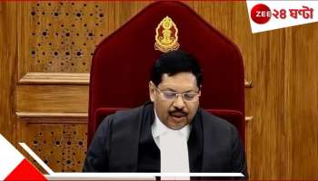 CJI B.R. Gavai on joining politics of Justice after retirement: বিচারপতিরা অবসরের পরই রাজনীতির আসরে নামলে, জনগণের আস্থার ভিত নড়ে যায়: CJI গাভাই