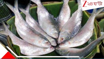Hilsa: আর কয়েক ঘণ্টা পরেই গভীর সমুদ্রে পাড়ি! এবার কেন ইলিশ নিয়ে আশাবাদী মৎস্যজীবীরা, জানেন?