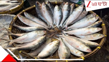 Hilsa: নিষেধাজ্ঞা উঠতেই দীঘা থেকে ২০০০ ট্রলার পাড়ি দিল গভীর সমুদ্রে! চোখে গভীর আশা, মনে আশঙ্কা...