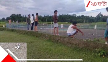 Malbazar: জমিতে পড়ে অসংখ্য মৃত ঘুঘু, এই মড়ক কি অশুভ কিছুর ইঙ্গিত? আতঙ্ক এলাকায় 