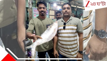 Hilsa Price: জালে পড়ল আড়াই কেজির রাজা ইলিশ, নিলামে দাম উঠল...