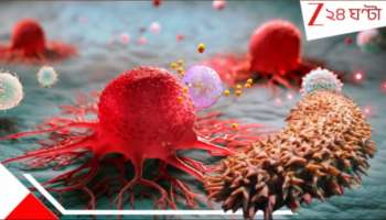 Cucumber in Cancer Treatment: বিরল এক শসাতেই সারবে ক্যানসার! পাওয়া গেল... বিজ্ঞানীদের হাতে মারণরোগের মহৌষধি!
