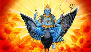 Shani: মহাসৌভাগ্যের বন্যা ২০২৫ জুড়ে! আগামী ৫ মাস ধরে শনির অপার কৃপায় টাকার গদিতে শুয়ে থাকবেন এই রাশির জাতকেরা!