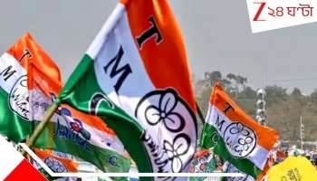 TMC Leaders Murder: ২৬-এর আগে হাড়হিম খু*ন একের পর এক তৃণমূল নেতা! এবার হলদিয়ায় প্রকাশ্য রাস্তায়...