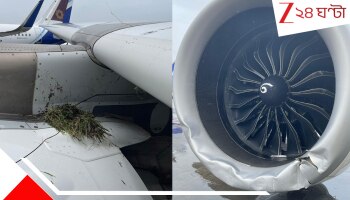 Air India Flight Skid off: মারাত্মক! অবতরণের পরই রানওয়ে থেকে পিছলে গেল এয়ার ইন্ডিয়ার বিমান...