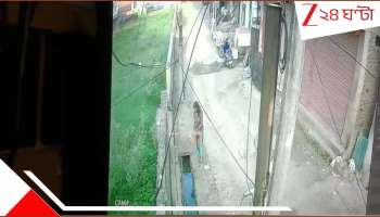 MadhyaPradesh Horror: WATCH VIDEO: গা শিউড়ে উঠবে! প্রসবের পর মা বালতি করে জঞ্জালে ফেলল সন্তানকে, কয়েকটা কুকুর খুবলে...
