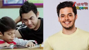 Darsheel Safary Interview: 'তারে জমিন পর আমার জীবনের বড় অংশ, ভালো অভিনেতা হতে গেলে ভালো মানুষ হওয়া জরুরি...'