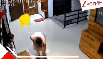 Mumbai Shocking Accident: জানালার পাশে জুতোর তাকে ৪ বছরের মেয়েকে বসিয়ে কাজে, ১৩ তলা থেকে সোজা রাস্তায়... মারাত্মক...