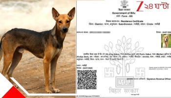 Dog Gets Redential Certificate: তাজ্জব! বাবার নাম কুত্তাবাবু, মা কুতিয়া দেবী, কুকুরের নামে গুরুত্বপূর্ণ সার্টিফিকেট...