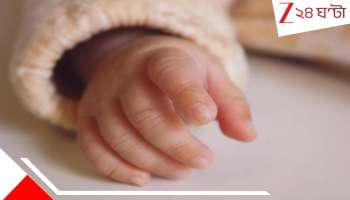 Kolkata: মর্মান্তিক! খেলতে খেলতে আচমকাই পড়ে যায় ২ বছরের শিশু, ডাইনিং টেবিলের...