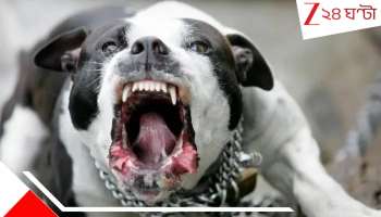 Pitbull attack: বাবা-মায়ের চোখের সামনেই ঝাঁপিয়ে পড়ল বাড়িমালিকের পিটবুল! ৭ বছরের মেয়েকে হিং*স্র কুকুর একেবারে...