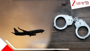 UK Deport Now Appeal Later Rule: দোষী সাব্যস্ত হলে &#039;আগে প্রত্যর্পণ পরে আপিল&#039;, ব্রিটিশ আইনের গেরোর বিপাকে ভারতীয়রা