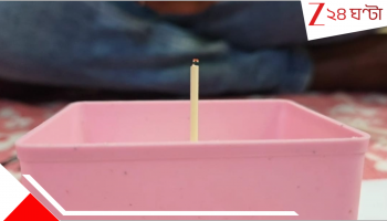 Independence Day: ১ সেন্টিমিটার টুথপিকে জাতীয় পতাকা! দেশাত্মবোধে নজির, স্বাধীনতা দিবসে চমক বাংলার ছেলের...