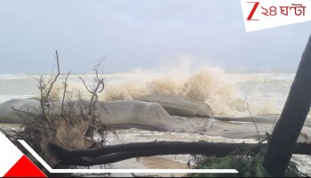 Bengal Weather Update: ৩০ দিনে এই নিয়ে সপ্তম নিম্নচাপ! উত্তাল বঙ্গোপসাগর থেকে বাংলার বুকে কি ঘনিয়ে আসছে একরাশ দুর্যোগের মেঘ? 
