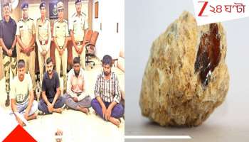 Ambergris Seized of 8 crore: সাগরের সোনা! ৮ কোটি টাকার &#039;তিমির বমি&#039; পাচার করতে গিয়ে পাকড়াও... ১ কেজির দামই...