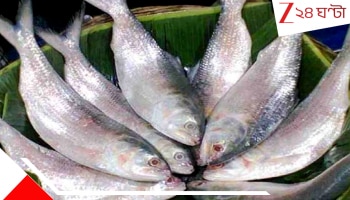 Bangladeshi Hilsa: ইলিশ কূটনীতি! পুজোয় কলকাতাকে খাওয়াতে ১২,০০০০০ কেজি রুপোলি শস্য পাঠাচ্ছেন ইউনূস...