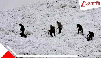 Ladakh Avalanch Kills Jawan: সিয়াচেনে গোটা সেনা ক্যাম্প গিলে নিল তুষার ধস, মর্মান্তিক পরিণতি ৩ জওয়ানের 