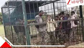 Karnataka: বোঝো কাণ্ড! বাঘ ধরতে গিয়ে খাঁচাবন্দি বনকর্মীরাই... খবর দেওয়ার পরেও...