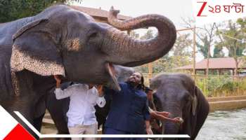 SC on Anant Ambani&#039;s Vantara: &#039;সুপ্রিম&#039; স্বস্তি মুকেশ-পুত্র অনন্তের! &#039;বনতারা&#039;য় হাতি স্থানান্তরকে ক্লিনচিট শীর্ষ আদালতের...