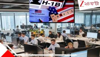 H-1B Visa: শীর্ষে অ্যামাজন, দ্বিতীয় TCS, তালিকায় গুগল-মেটা-মাইক্রোসফট ও... ট্রাম্পের H-1B 'বোমায়' মার্কিন মুলুকে 'ঘোর বিপদে' হাজার হাজার ভারতীয় IT  কর্মী....  
