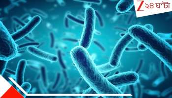 Nightmare bacteria Surging in Hospitals: দুঃস্বপ্নের করাল গ্রাসে মানব সভ্যতা! শেষের শুরু নাইটমেয়ার ব্যাকটেরিয়ায়, বলছেন ডাক্তাররা...