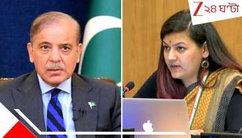 India on Shehbaz Sharif Speech: 'রানওয়ে ধ্বংস যদি বিজয় হয়, তাহলে তাই...!', সবার সামনে শাহবাজকে তুলোধোনা ভারতের মেয়ের...