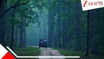 Hooghly: কানহার জঙ্গলে অ্যাডভেঞ্চারের খোঁজে গিয়ে ফিরছেন লাশ হয়ে, ভয়াবহ দুর্ঘটনায় সন্তান-সহ তিন শিক্ষিকা... হুগলিতে হাহাকার...