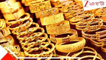 Gold Price Rate today: হলুদ ধাতুর নতুন রেকর্ড! ধনতেরাসে সোনা কিনতে গেলেই মাথা ঘুরে পড়ে যাবেন...