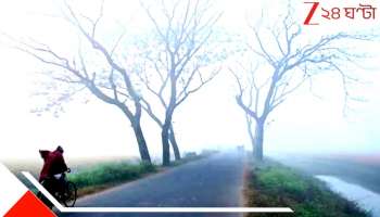 Bengal Weather Update: রাতে শিশির, সকালে কুয়াশা! টুপি মাফলারের দিন সমাগত...আর কয়েকটা দিন, বৃষ্টিবিদায় দিয়ে হিমঋতু আসন্ন?