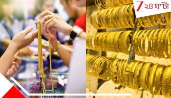 Dhanteras 2025: ৪,৪০০-র সোনা-ই এখন ১,৩১,৮০০ টাকায়! ধনতেরাসে বিনিয়োগে কীভাবে লাভ? দেখুন অঙ্ক...