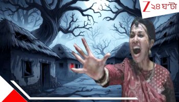 No Diwali in Himachal village: যেন ভূতের গ্রাম! অভিশাপের জেরে ১০০ বছর পেরিয়ে গেল, এখানে কোনও দিওয়ালির আলো নেই...