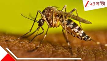 Dengue Death: ফের খাস কলকাতায় ডেঙ্গির থাবা! চার বছরের শিশুর মৃত্যু...