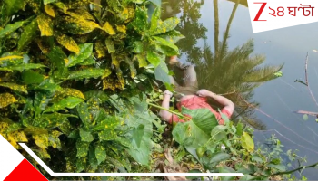 Birati: নিখোঁজ শিক্ষকের রহস্যময় মৃত্যু! নিস্তব্ধ পুকুরে ভেসে উঠল দেহ... বিরাটিতে বিভীষিকা...