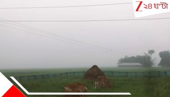 West Bengal Weather Update: গত ২৪ ঘণ্টায় নামল তাপমাত্রা, শীতের পথে বাধা হতে পারে ঘূর্ণাবর্ত!