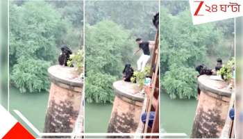 Dangerous VIDEO: বাড়ি ফেরার রাস্তা হারিয়ে আতঙ্কে চোদ্দর কিশোরীর ব্রিজ থেকে ঝাঁপ নদীতে! শিউরে ওঠা শেষ ভিডিয়ো...