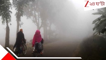 West Bengal Weather Update: তাপমাত্রা এক ধাক্কায় নামল অনেকটাই, কতদিন থাকবে শীতের এই আমেজ?